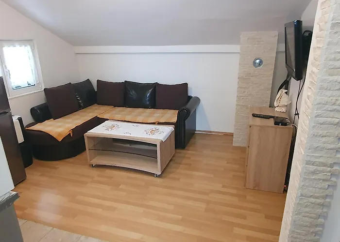 Apartment Danja