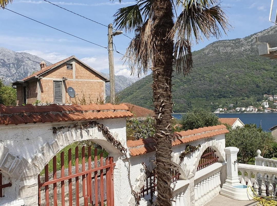 Apartment Danja Kamenari
