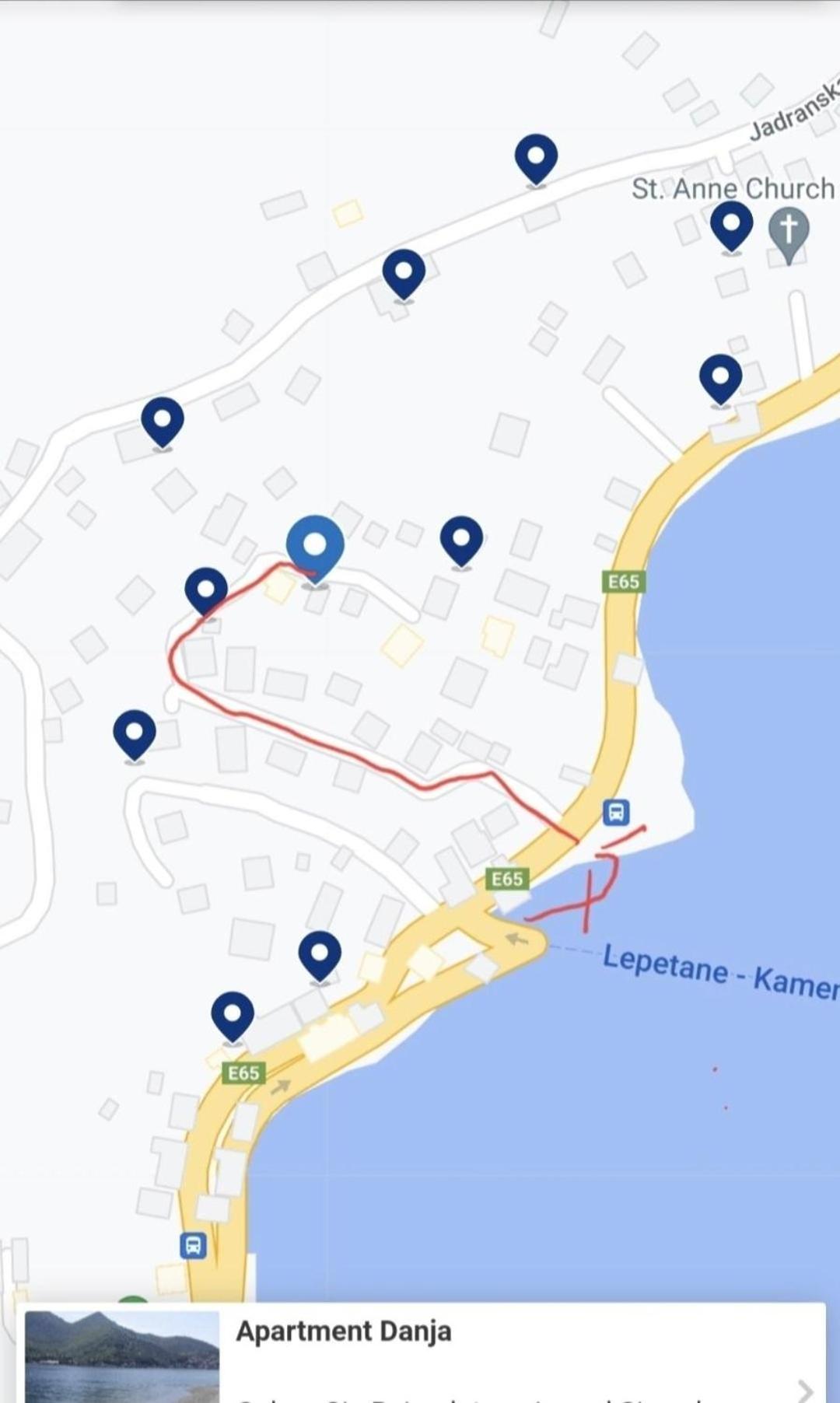 Danja Kamenari